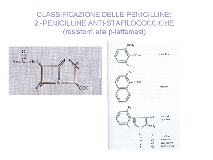 CLASSIFICAZIONE DELLE PENICILLINE: 2 -PENICILLINE ANTI-STAFILOCOCCICHE (resistenti alla -lattamasi) 