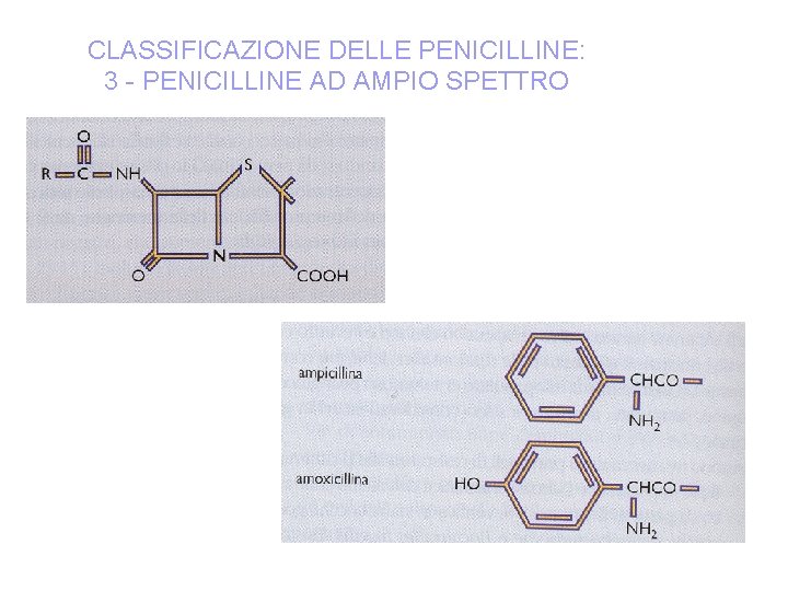 CLASSIFICAZIONE DELLE PENICILLINE: 3 - PENICILLINE AD AMPIO SPETTRO 