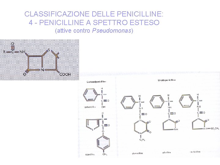 CLASSIFICAZIONE DELLE PENICILLINE: 4 - PENICILLINE A SPETTRO ESTESO (attive contro Pseudomonas) 