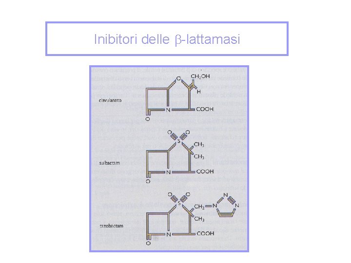 Inibitori delle -lattamasi 