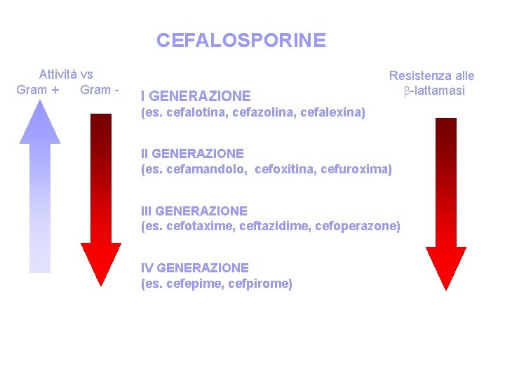 CEFALOSPORINE Attività vs Gram + Gram - I GENERAZIONE Resistenza alle -lattamasi (es. cefalotina,