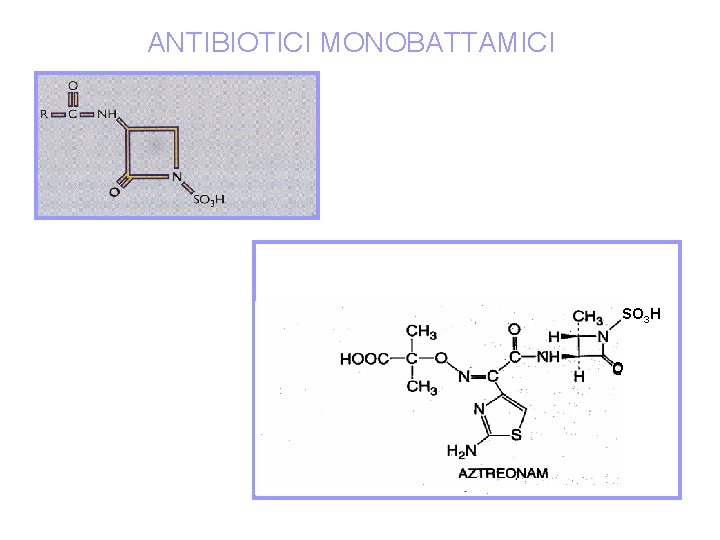 ANTIBIOTICI MONOBATTAMICI SO 3 H O 