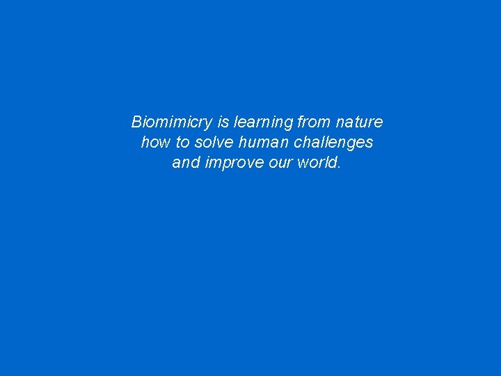 Biomimicry is learning from nature how to solve human challenges and improve our world.