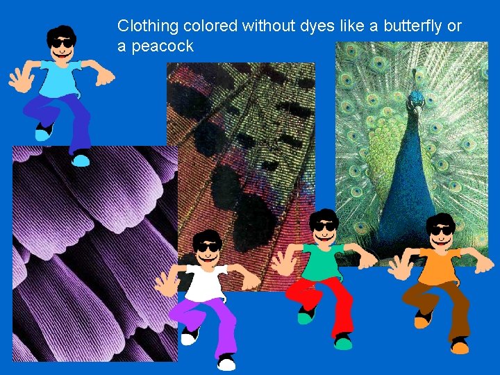 Clothing colored without dyes like a butterfly or a peacock 