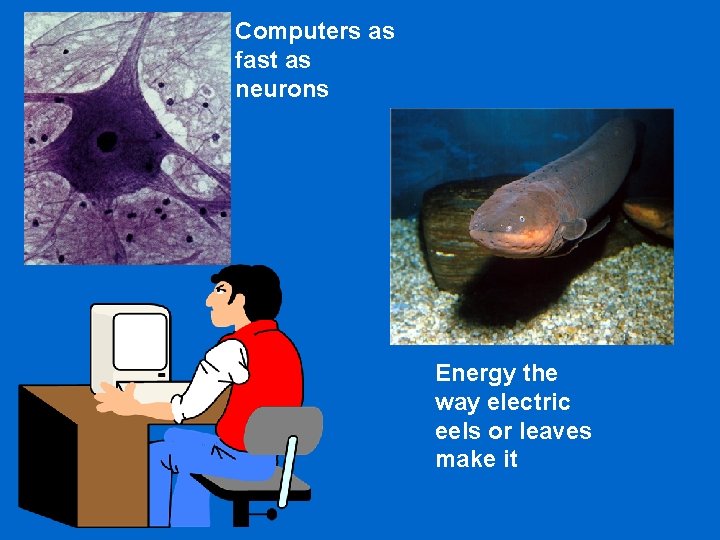 Computers as fast as neurons Energy the way electric eels or leaves make it