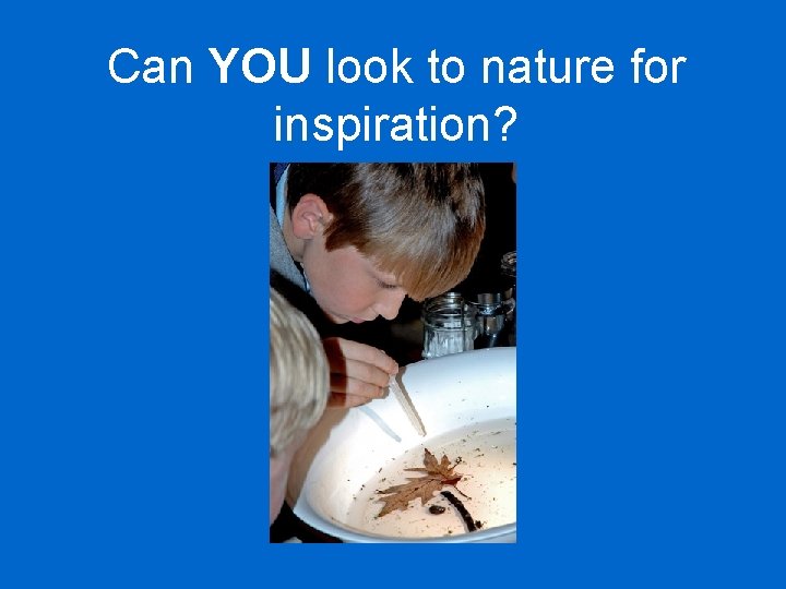 Can YOU look to nature for inspiration? 