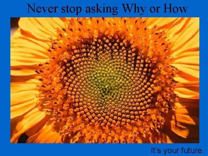 Never stop asking Why or How It’s your future. 