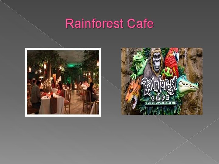 Rainforest Cafe 