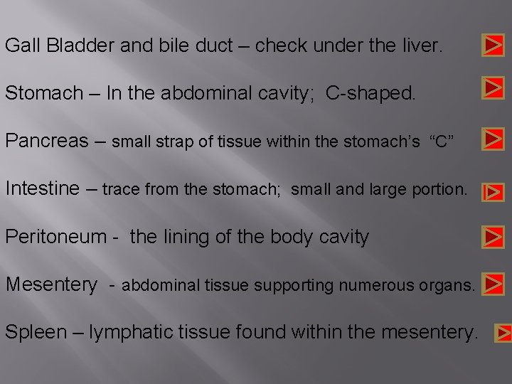 Gall Bladder and bile duct – check under the liver. Stomach – In the