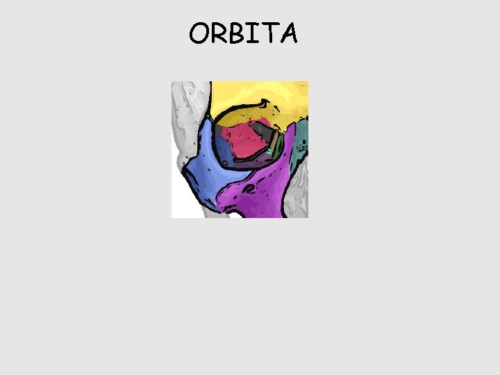 ORBITA 