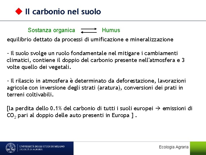  Il carbonio nel suolo Sostanza organica Humus equilibrio dettato da processi di umificazione