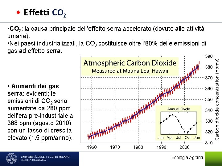  Effetti CO 2 • CO 2: la causa principale dell’effetto serra accelerato (dovuto