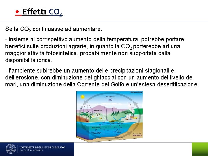  Effetti CO 2 Se la CO 2 continuasse ad aumentare: - insieme al