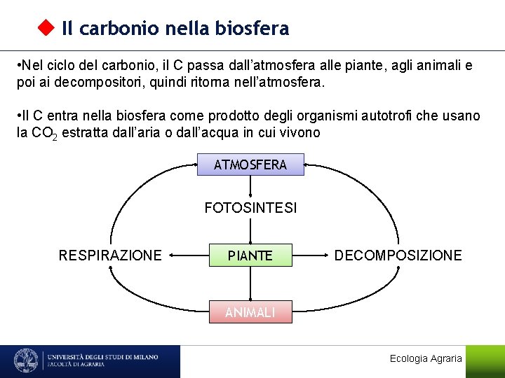  Il carbonio nella biosfera • Nel ciclo del carbonio, il C passa dall’atmosfera