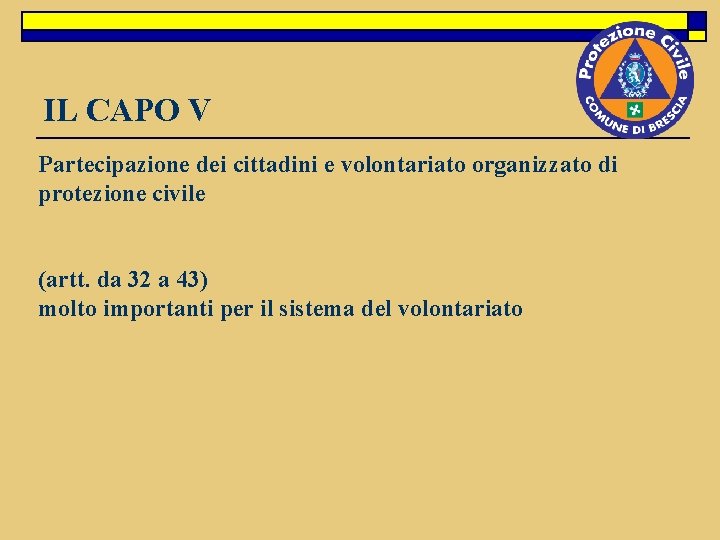 IL CAPO V Partecipazione dei cittadini e volontariato organizzato di protezione civile (artt. da