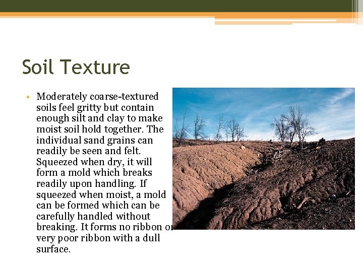 Soil Texture • Moderately coarse-textured soils feel gritty but contain enough silt and clay