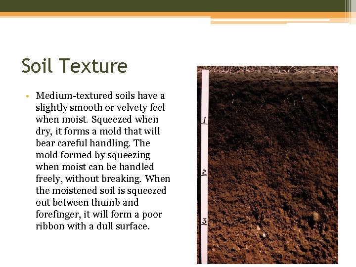 Soil Texture • Medium-textured soils have a slightly smooth or velvety feel when moist.