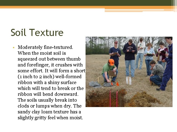 Soil Texture • Moderately fine-textured. When the moist soil is squeezed out between thumb