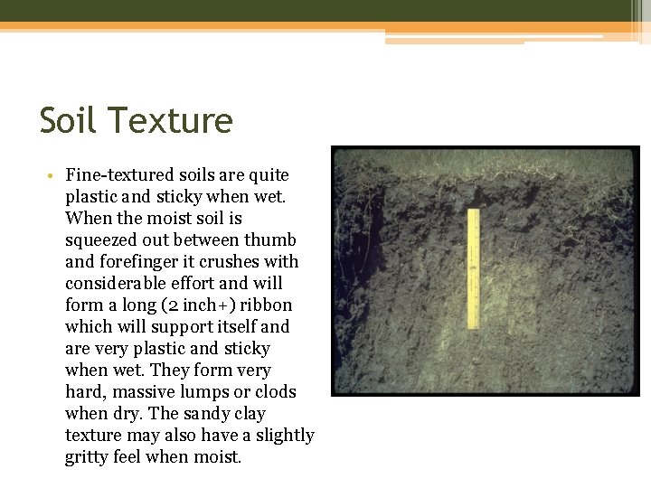 Soil Texture • Fine-textured soils are quite plastic and sticky when wet. When the