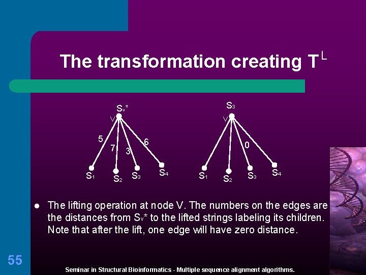The transformation creating T S 3 Sv* V 5 S 1 l 55 7