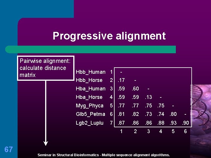 Progressive alignment Pairwise alignment: calculate distance Hbb_Human 1 matrix Hbb_Horse - 2. 17 Hba_Human