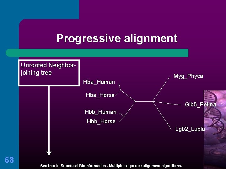 Progressive alignment Unrooted Neighborjoining tree Hba_Human Myg_Phyca Hba_Horse Glb 5_Petma Hbb_Human Hbb_Horse Lgb 2_Luplu