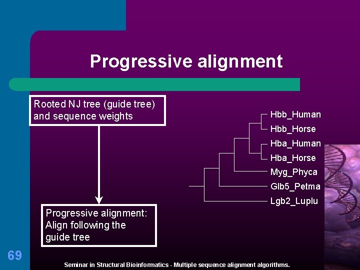 Progressive alignment Rooted NJ tree (guide tree) and sequence weights Hbb_Human Hbb_Horse Hba_Human Hba_Horse