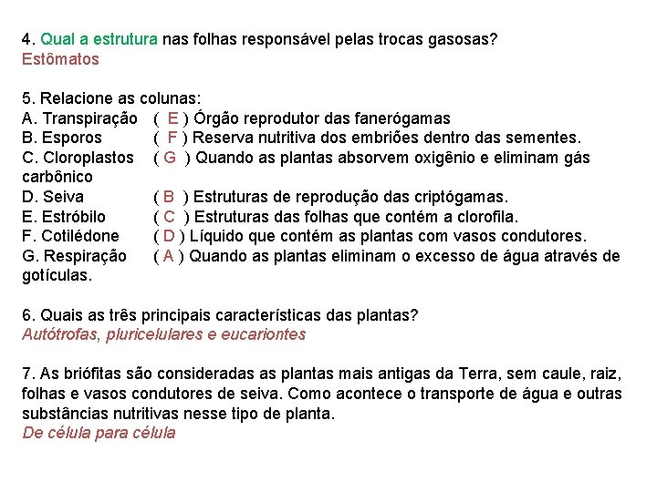 4. Qual a estrutura nas folhas responsável pelas trocas gasosas? Estômatos 5. Relacione as