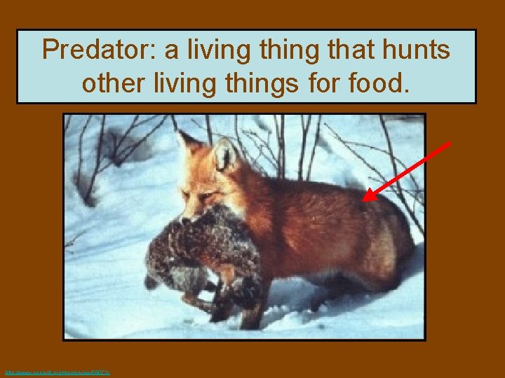Predator: a living that hunts other living things for food. http: //www. eoearth. org/topics/view/58072/