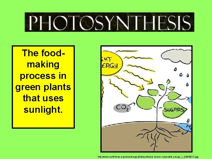 The foodmaking process in green plants that uses sunlight. http: //www. earthtimes. org/newsimage/photosynthesis-dream-renewable-energy_1_02842012. jpg
