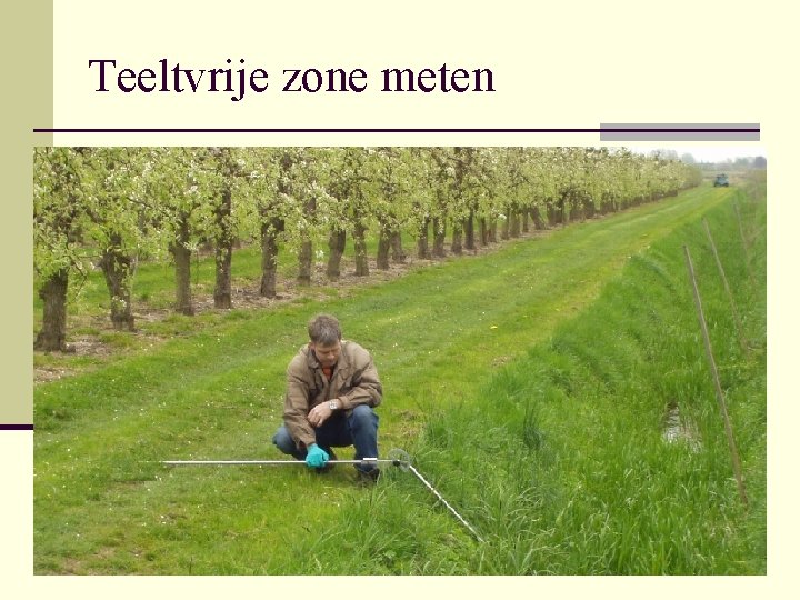 Teeltvrije zone meten 