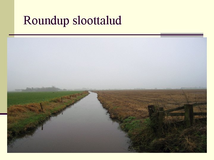 Roundup sloottalud 