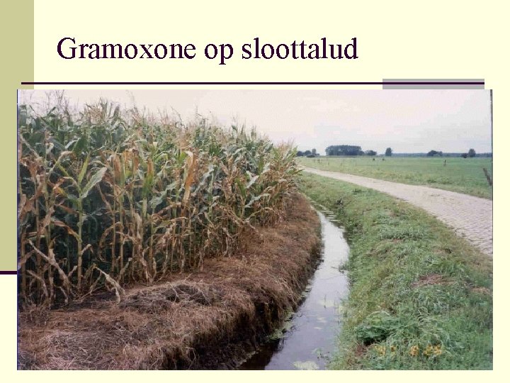 Gramoxone op sloottalud 