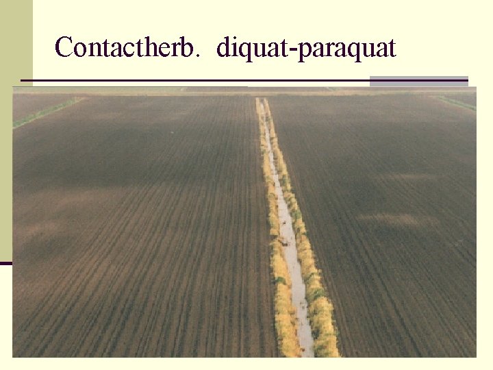 Contactherb. diquat-paraquat 