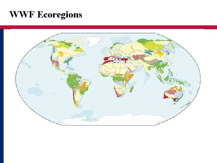 WWF Ecoregions 