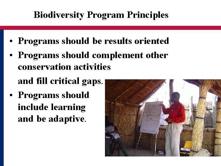 Biodiversity Program Principles • Programs should be results oriented • Programs should complement other