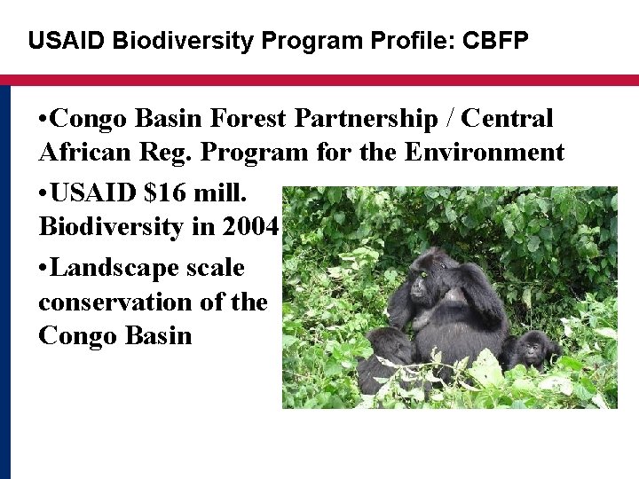 USAID Biodiversity Program Profile: CBFP • Congo Basin Forest Partnership / Central African Reg.