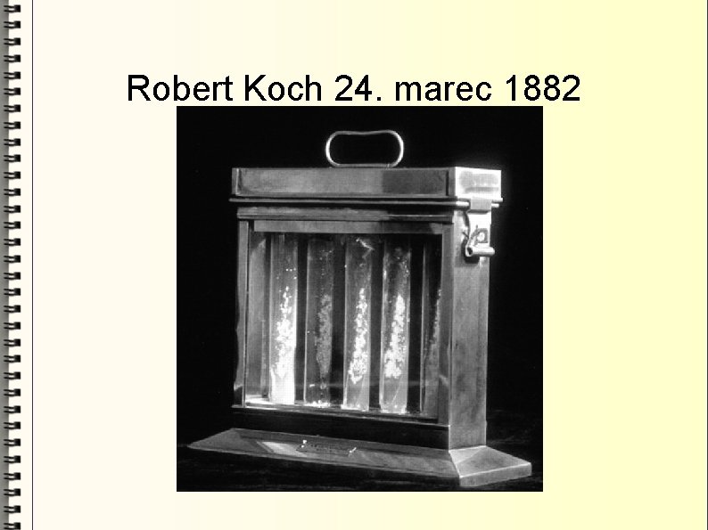 Robert Koch 24. marec 1882 