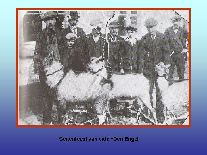 Geitenfeest aan café “Den Engel” 