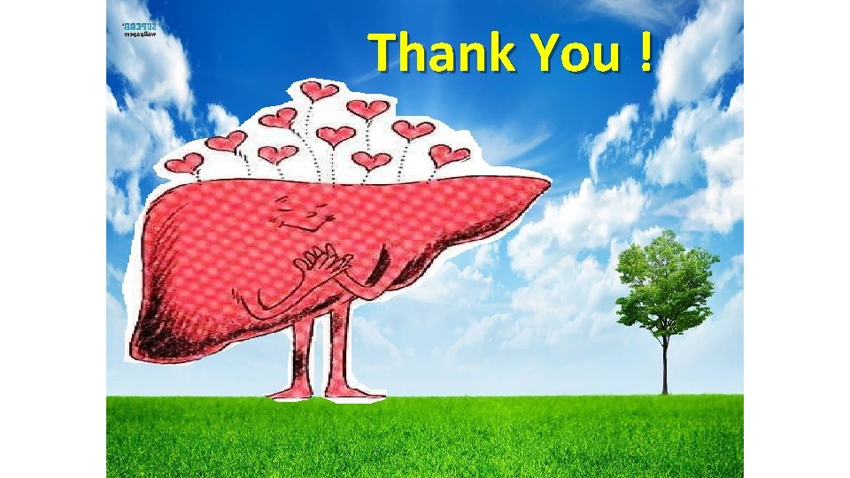 Thank You ! 