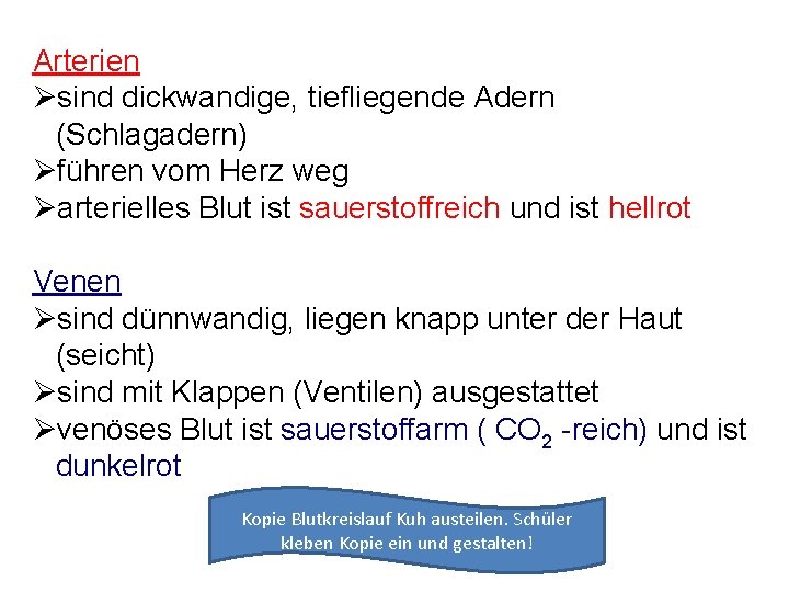 Arterien Øsind dickwandige, tiefliegende Adern (Schlagadern) Øführen vom Herz weg Øarterielles Blut ist sauerstoffreich