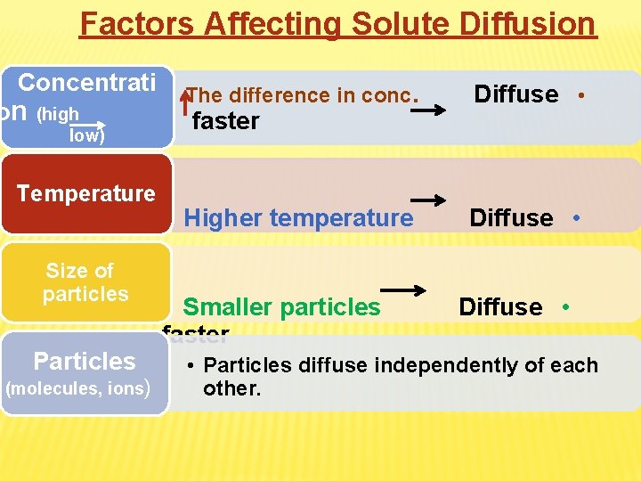 Factors Affecting Solute Diffusion Concentrati on (high low) Temperature Size of particles Particles (molecules, Factors Affecting Solute Diffusion Concentrati on (high low) Temperature Size of particles Particles (molecules,
