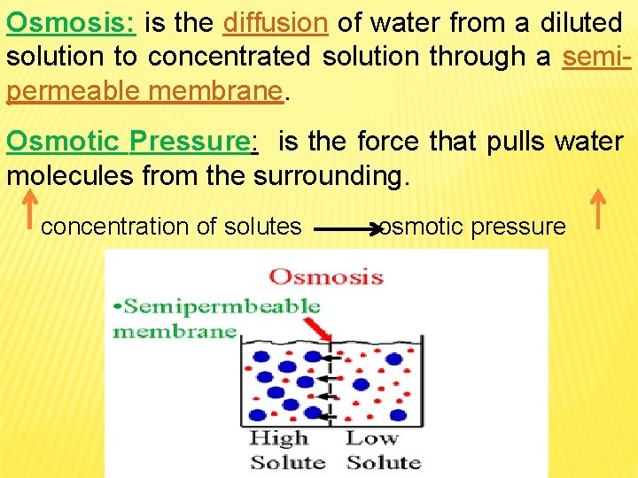 Osmosis: is the diffusion of water from a diluted solution to concentrated solution through Osmosis: is the diffusion of water from a diluted solution to concentrated solution through
