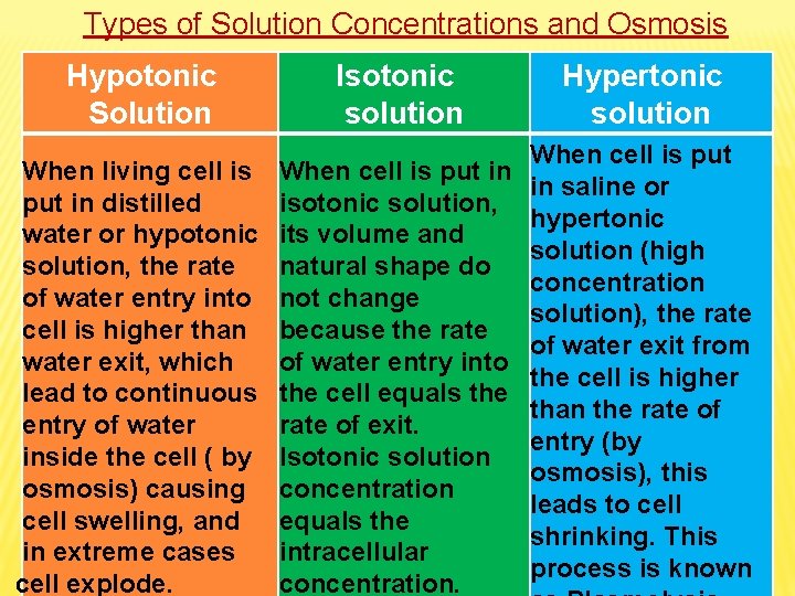 Types of Solution Concentrations and Osmosis Hypotonic Solution Isotonic solution When living cell is Types of Solution Concentrations and Osmosis Hypotonic Solution Isotonic solution When living cell is