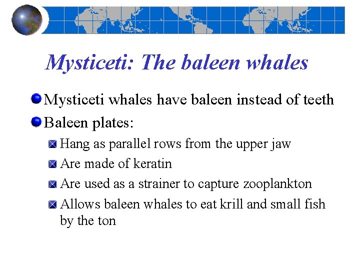 Mysticeti: The baleen whales Mysticeti whales have baleen instead of teeth Baleen plates: Hang