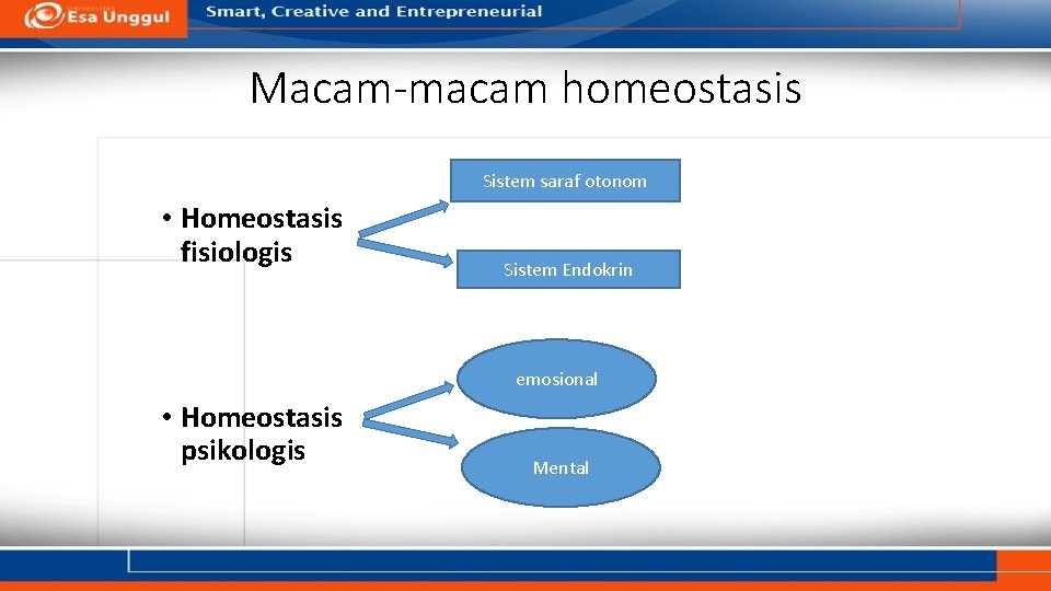 Macam-macam homeostasis Sistem saraf otonom • Homeostasis fisiologis Sistem Endokrin emosional • Homeostasis psikologis