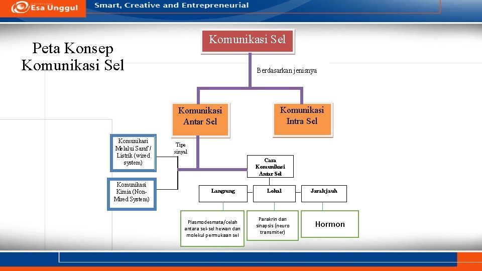 Komunikasi Sel Peta Konsep Komunikasi Sel Berdasarkan jenisnya Komunikasi Antar Sel Komunikasi Melalui Saraf