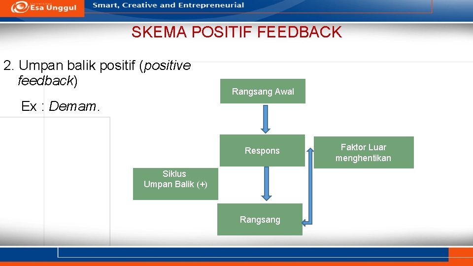 SKEMA POSITIF FEEDBACK 2. Umpan balik positif (positive feedback) Rangsang Awal Ex : Demam.