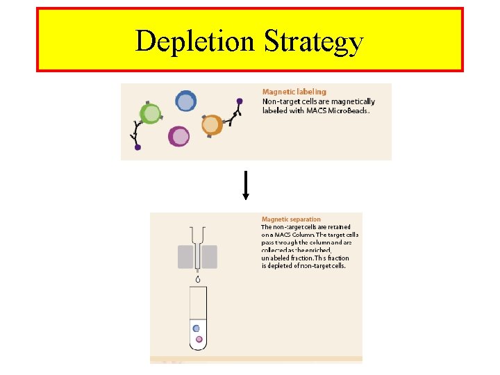 Depletion Strategy 
