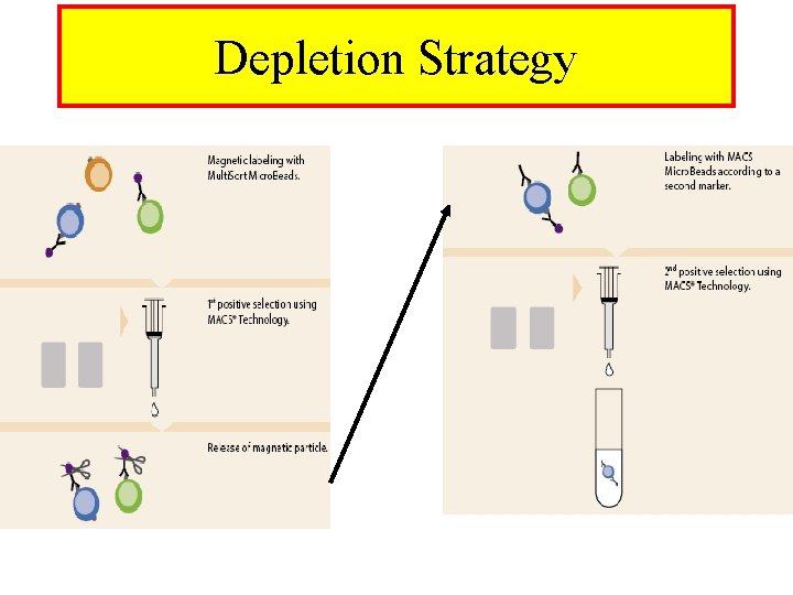 Depletion Strategy 
